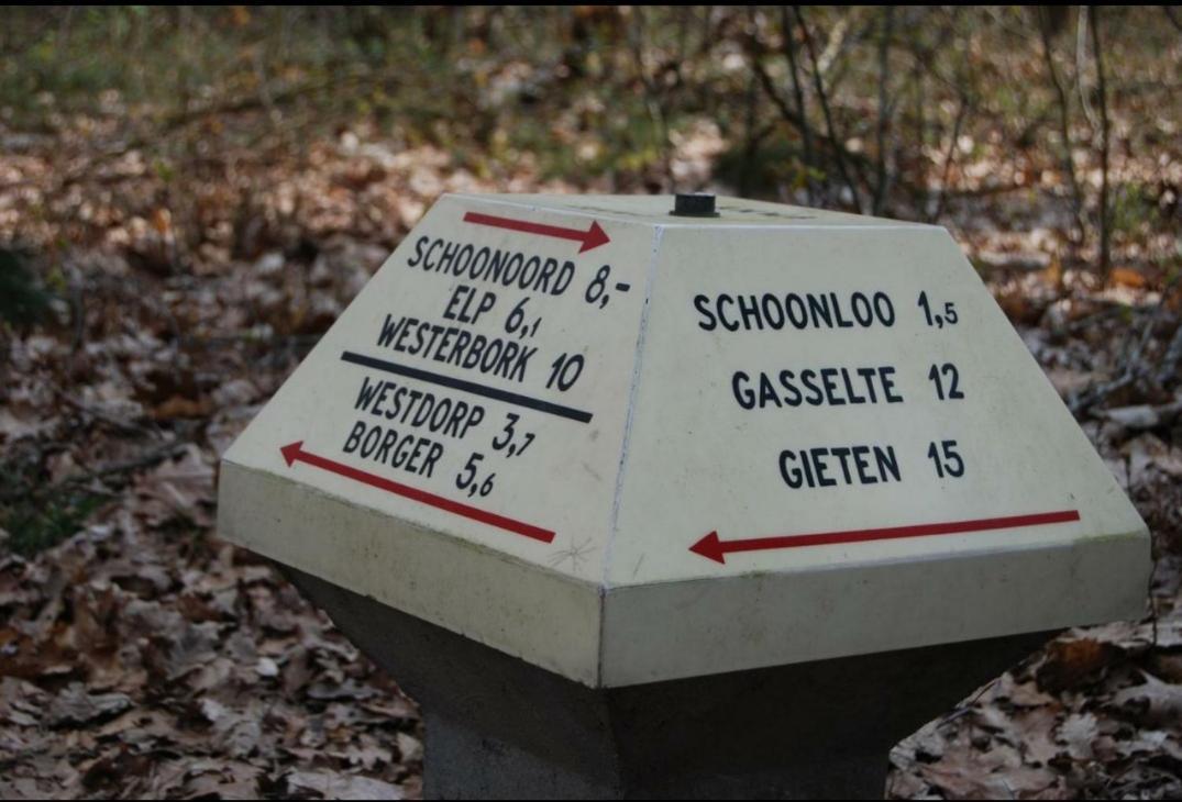 Chalet Schoonhoeve Schoonloo Εξωτερικό φωτογραφία