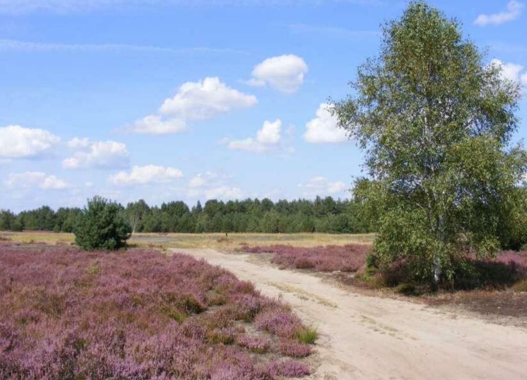 Chalet Schoonhoeve Schoonloo Εξωτερικό φωτογραφία